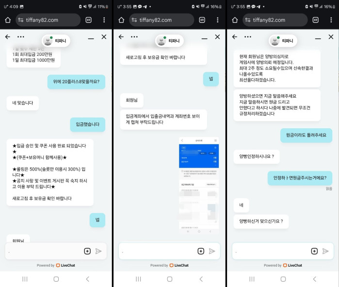 티파니카지노 50만원 먹튀