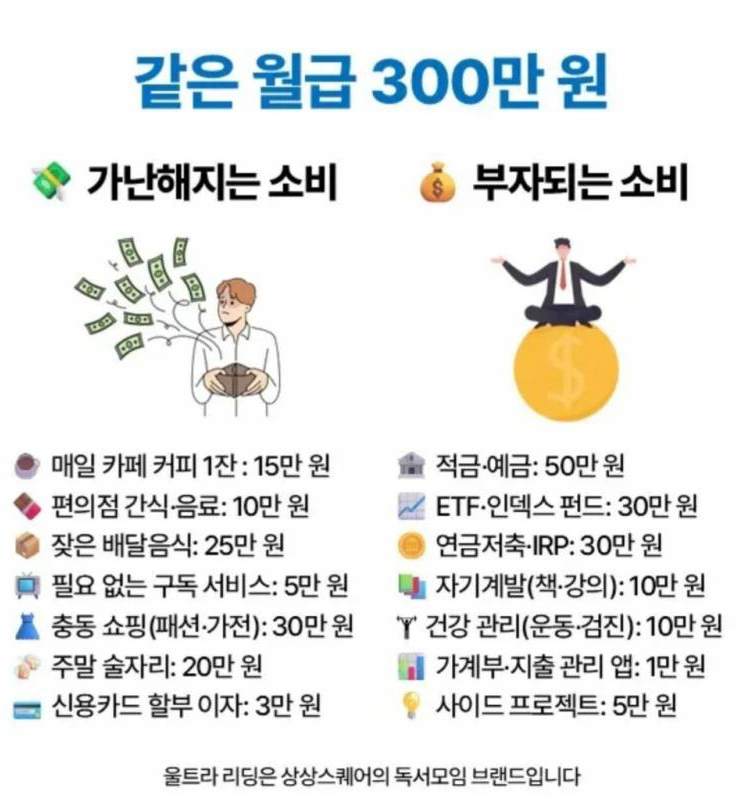현재 서로 충격받고있는 월300 직장인 소비