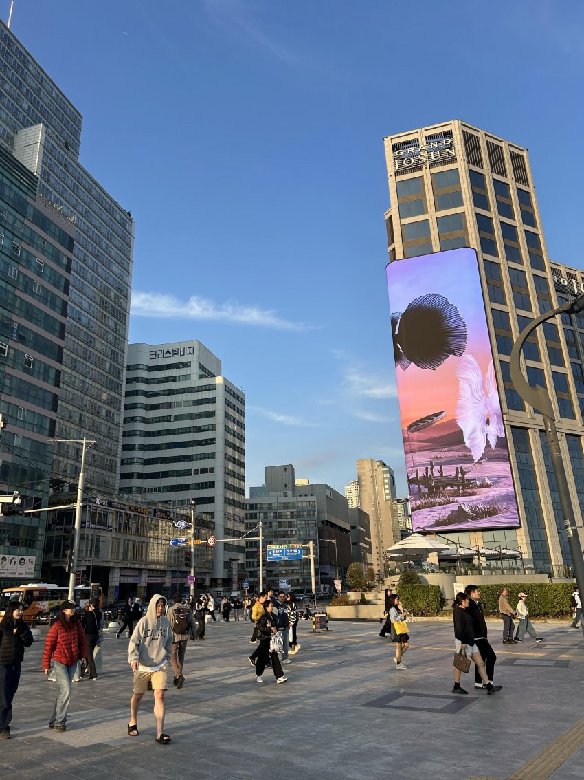 오늘자 해운대 ㄷㄷ