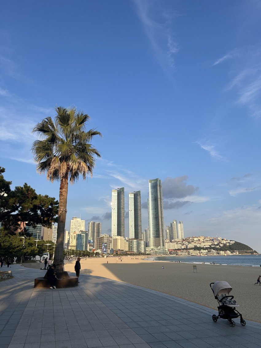 오늘자 해운대 ㄷㄷ