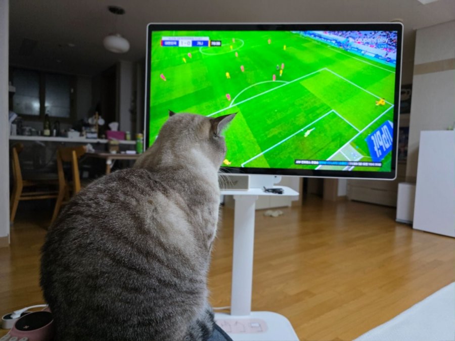 재미없는 거 보고잇네여 ㅎㅎ