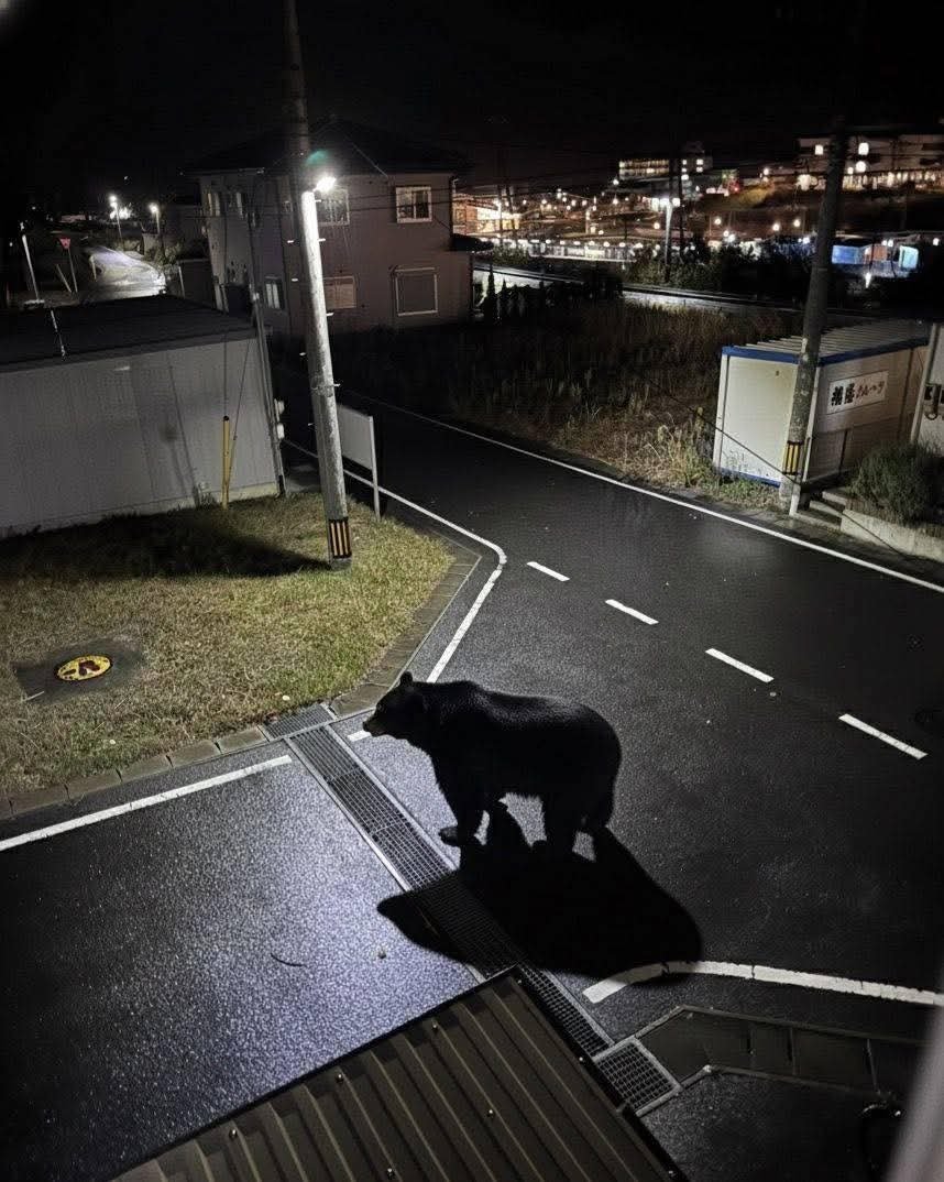 일본은 안전한 나라입니다