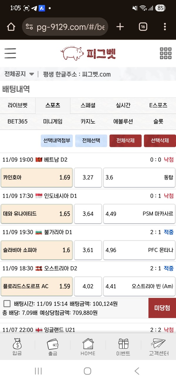 피그벳 후기입니다