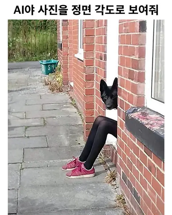 AI야 사진을 정면 각도로 보여줘
