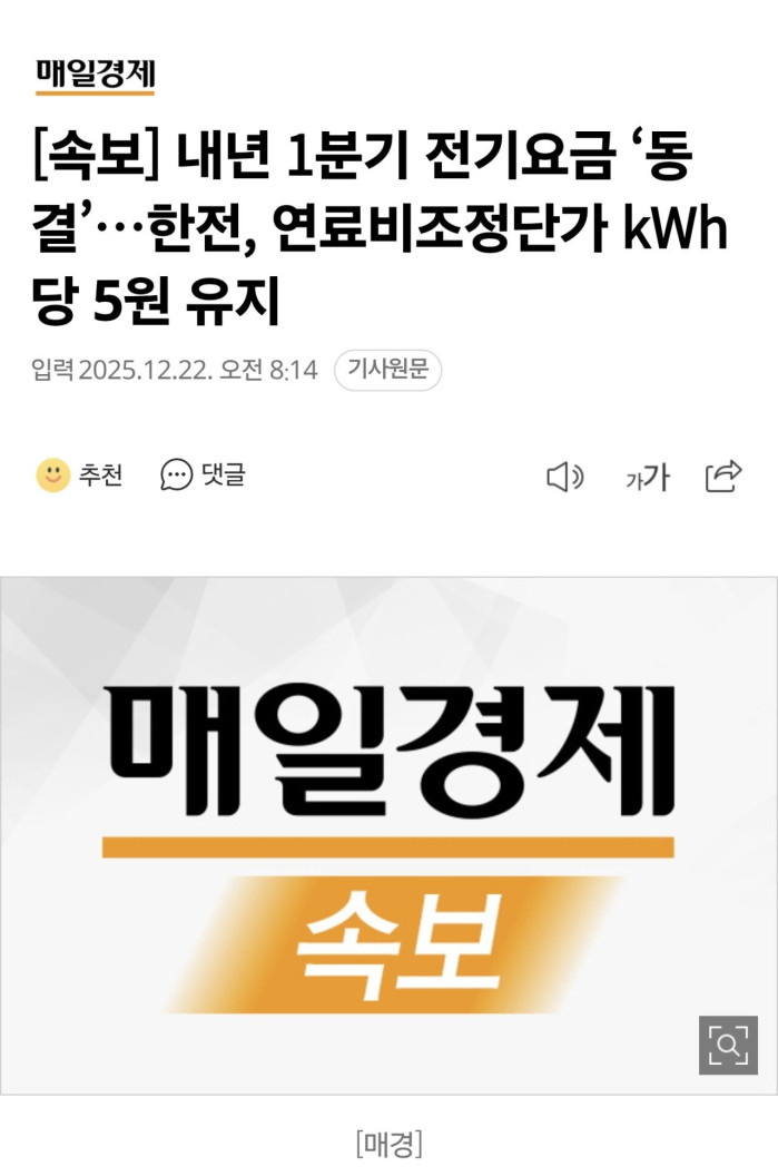 [속보] 내년 1분기 전기요금 ‘동결’…한전, 연료비조정단가 kWh당 5원 유지