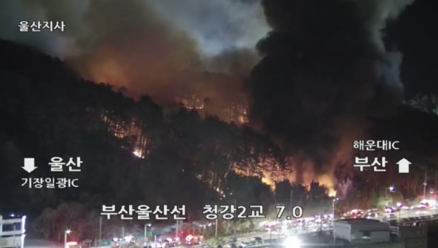 부산 기장군 산불 크게 났네요
