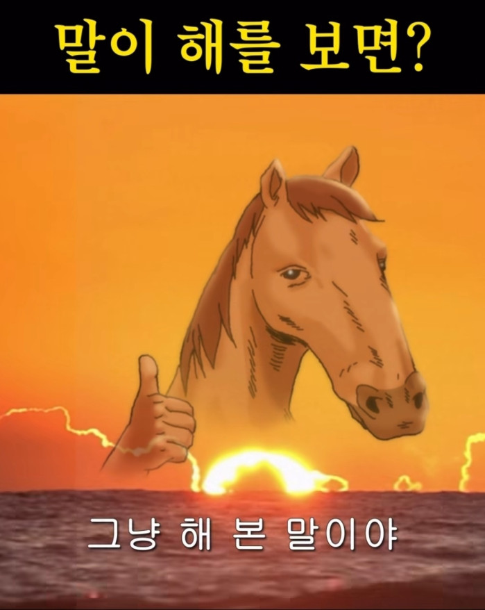 말이 해를 봤습니다.