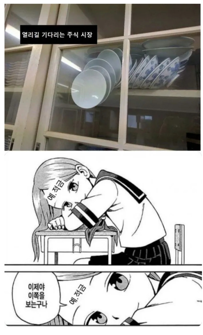 이제야 내 쪽을 보는구나?