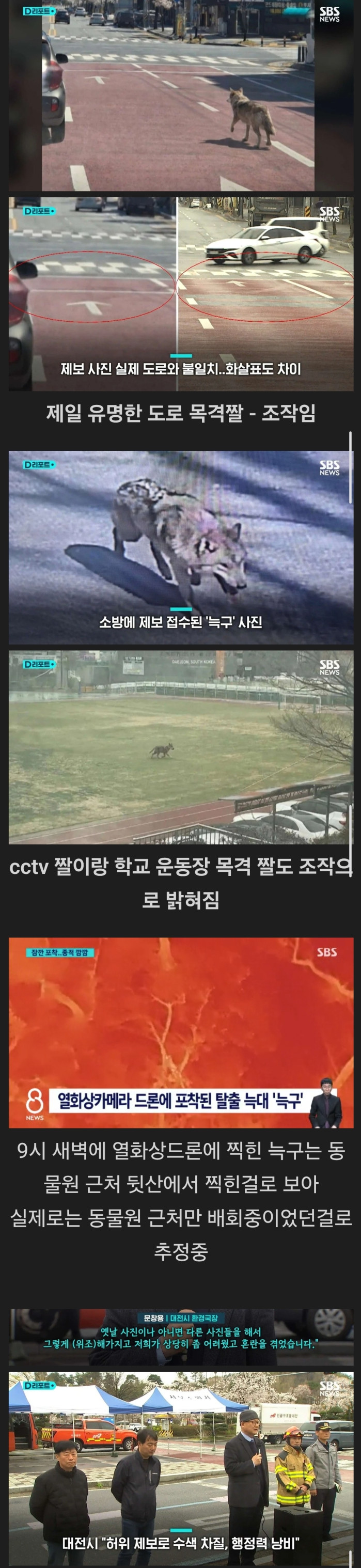 알고보니 모두 ai 조작이었던 늑대 목격 제보