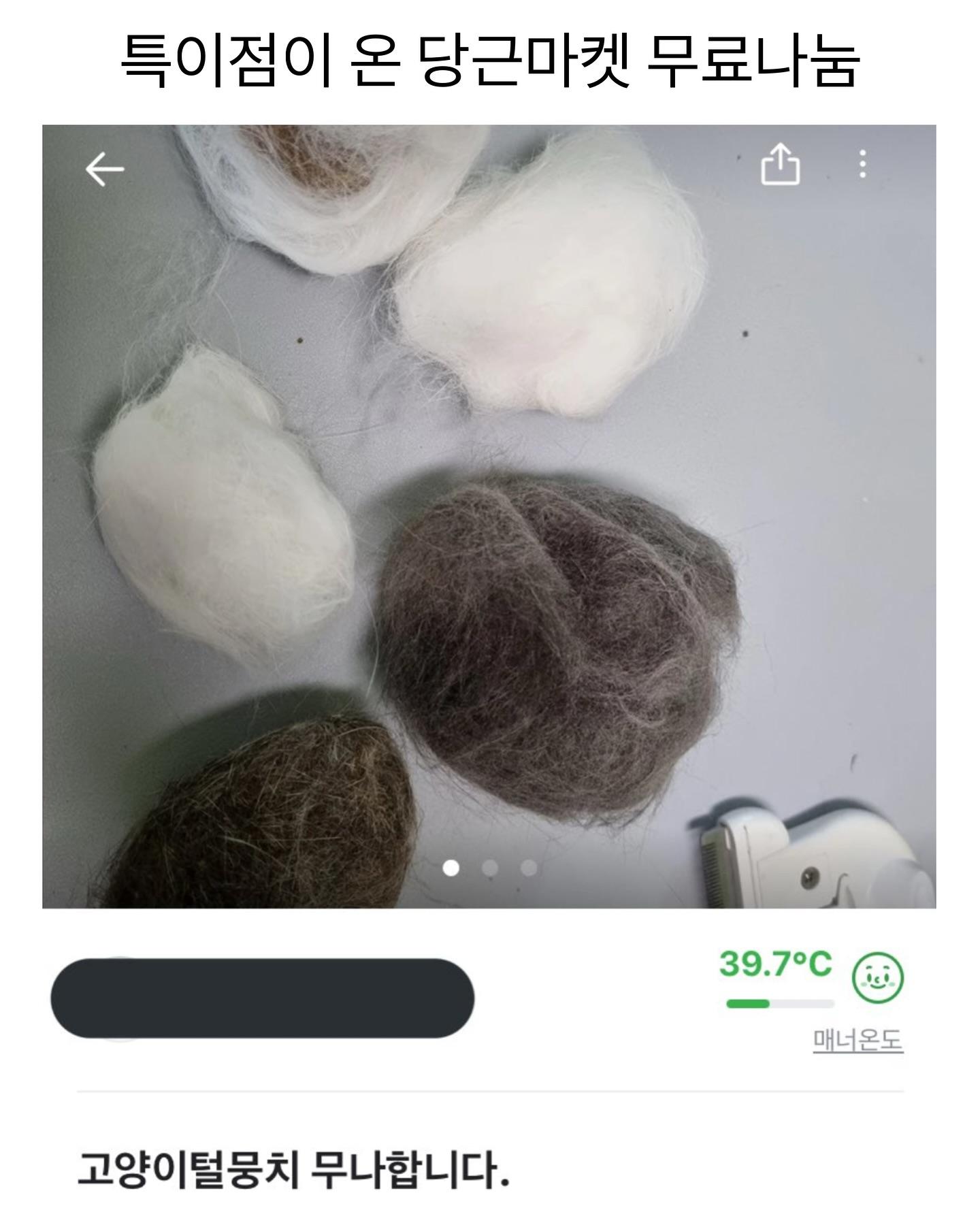 특이점이 온 당근마켓 무료나눔