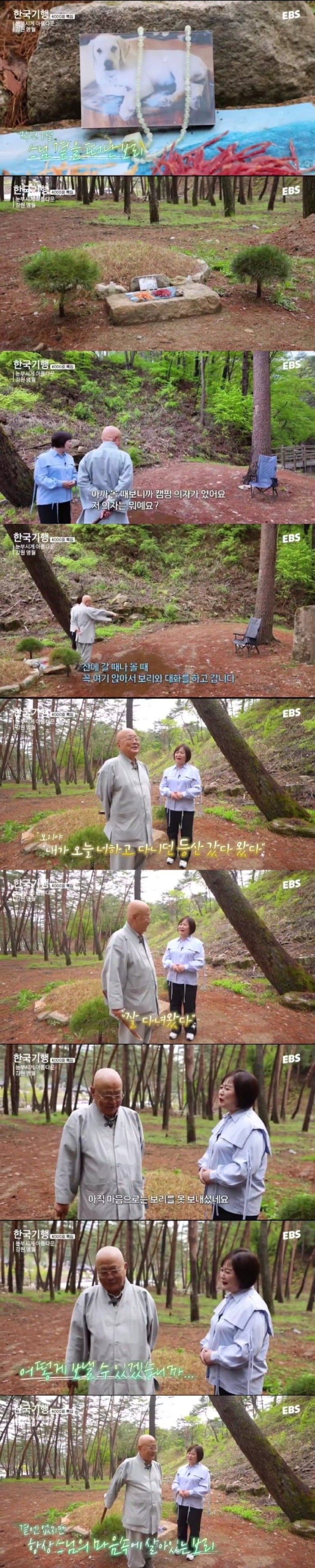 image.png 스님 머리 핥던 개 보리 근황