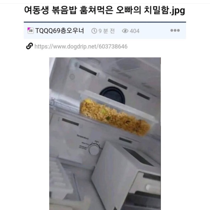 볶음밥 훔쳐먹은 오빠의 치밀함