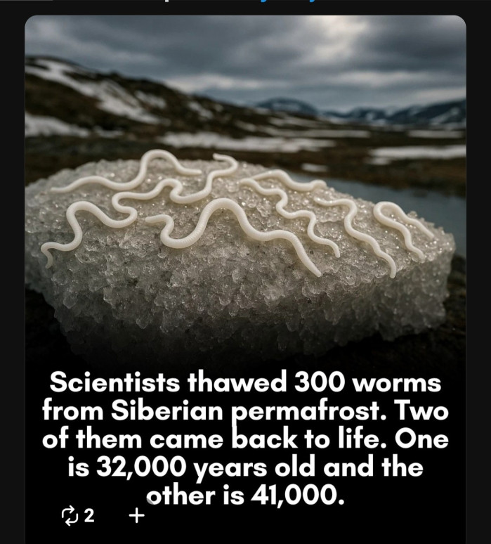 과학자들아! 하지 말라고!!!