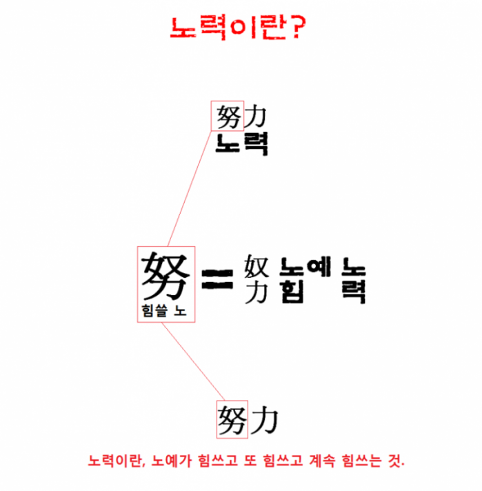 내가 노력을 안하는 이유