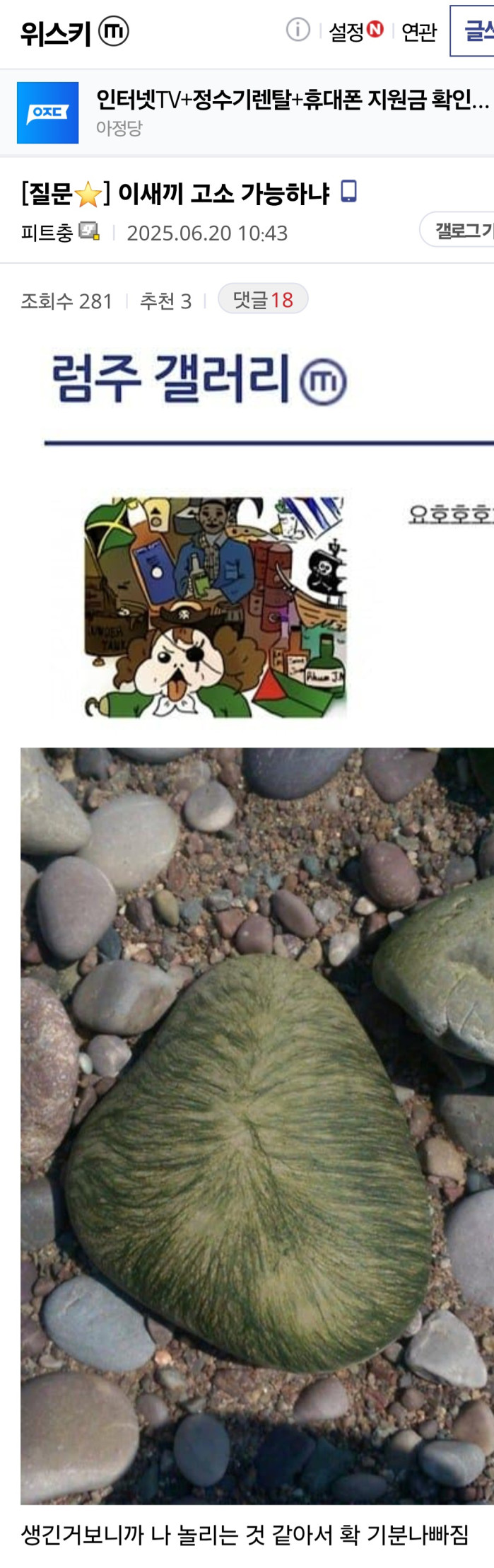 이XX 고소 가능하냐?