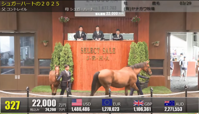 네발로 걸어다니는 강남아파트