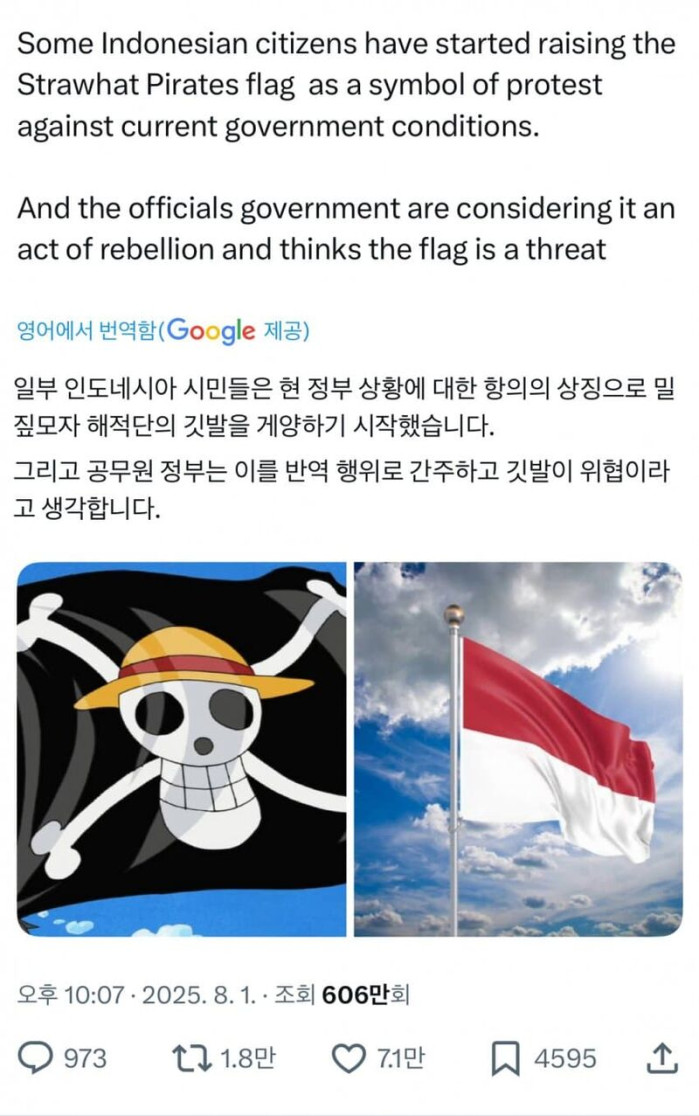 원피스 실사판이 되어가고 있는 인도네시아 근황