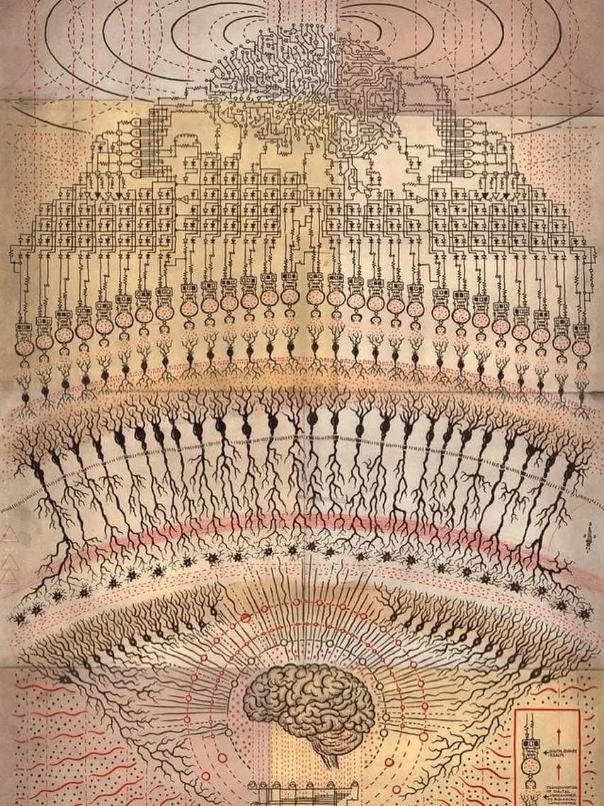 DFB.jpg 니콜라 테슬라 "우리 뇌는 수신기에 불과하다"