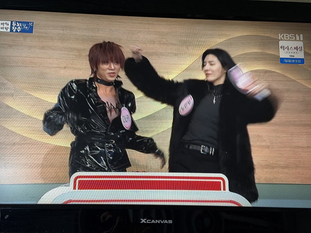 아니 다나카 아침마당에서 뭐해?