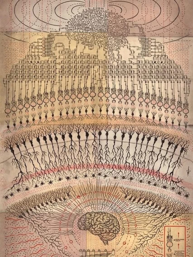 DFB.jpg 니콜라 테슬라 &quot;우리 뇌는 수신기에 불과하다&quot;