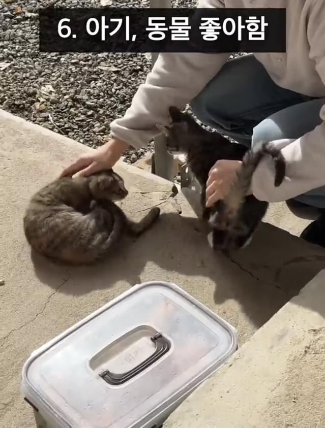 요즘 여자들의 남편감 이상형 ㄷㄷ