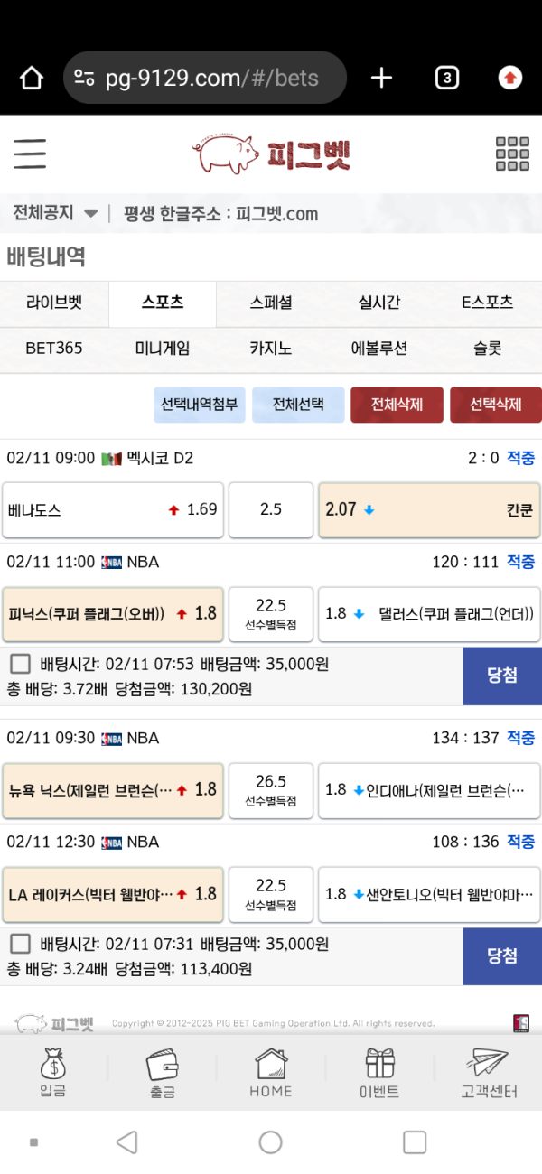 피그벳 후기 남깁니다