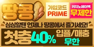 [보증업체]땅콩